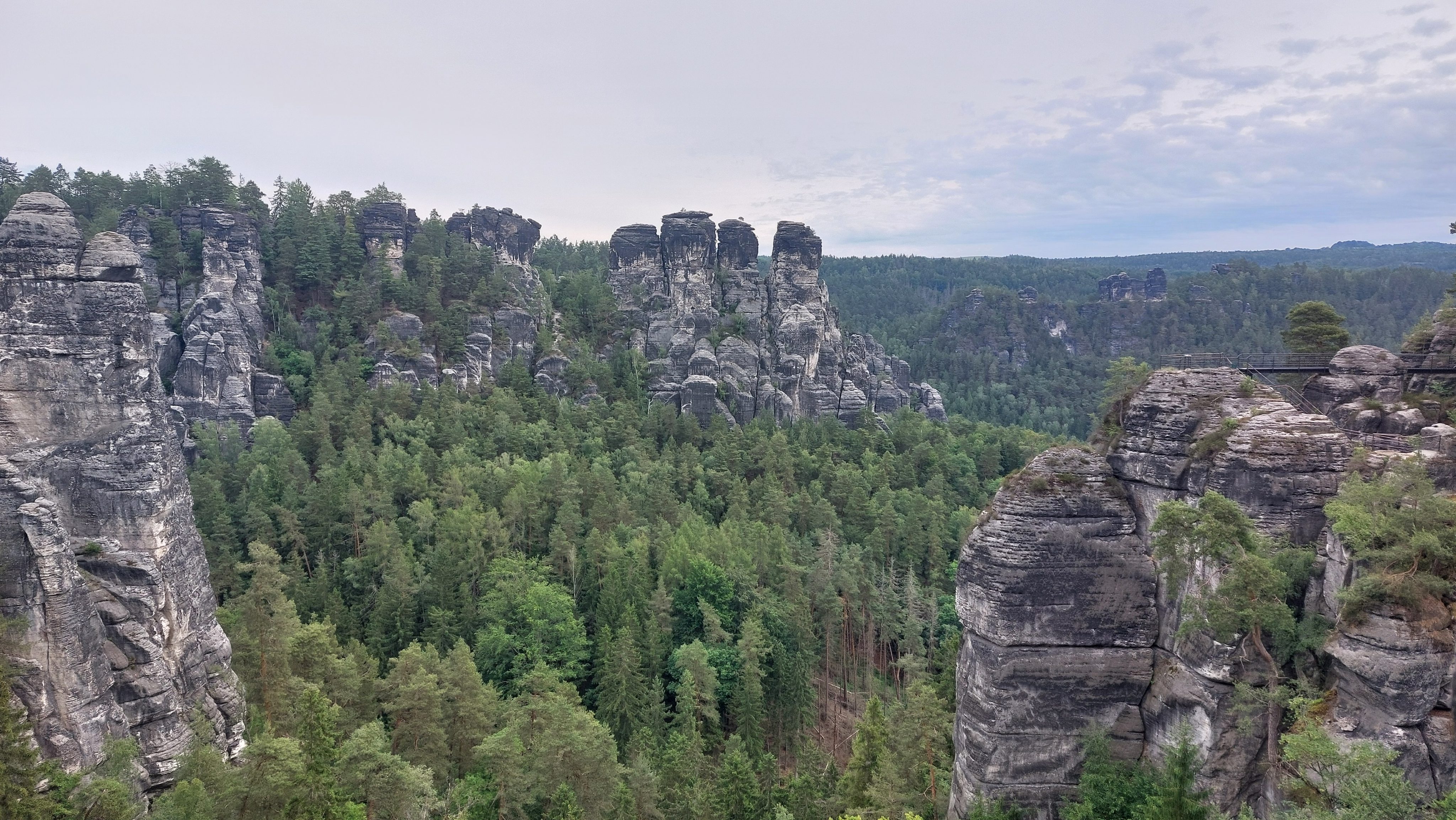 Painting the Path: A Body Moving Through Nature’s Art